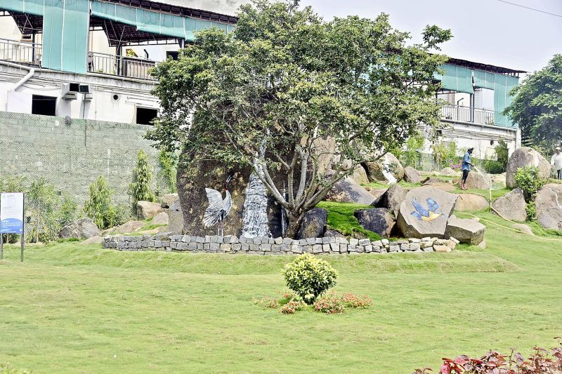 Hyderabad's first rainwater harvesting park