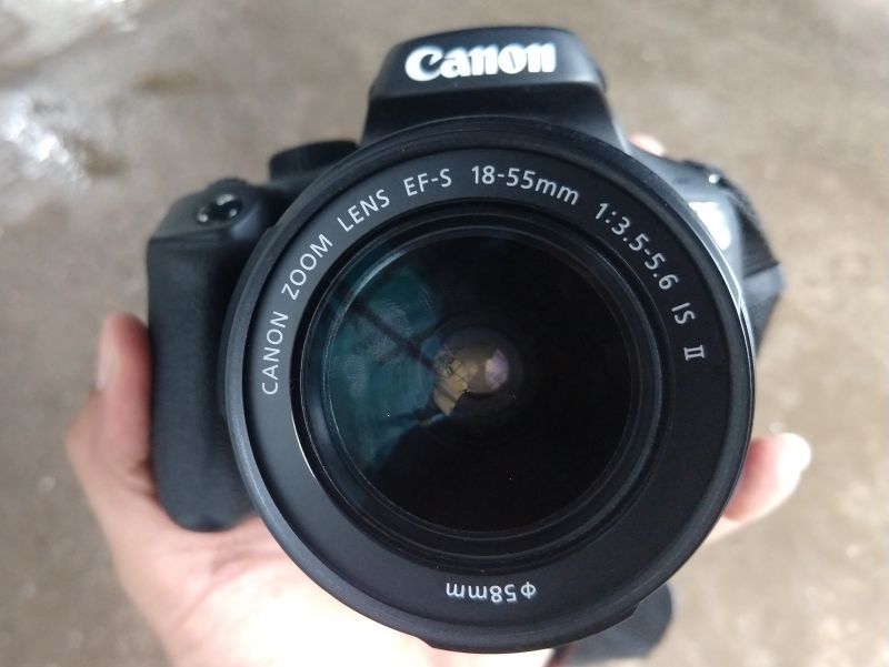 Canon EOS 3000D review