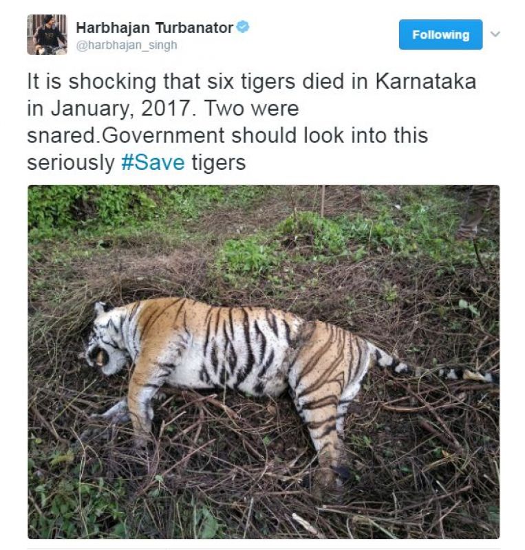 Harbhajan Singh, tiger