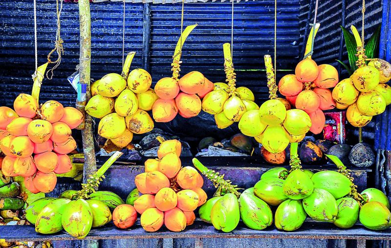 King coconuts  found abundantly in Havelock are delicious.