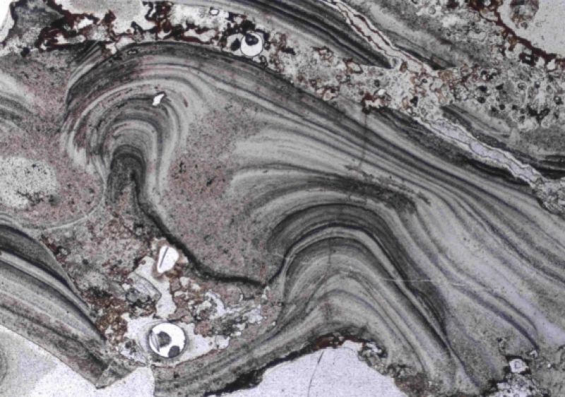 A microscopic image of geyserite textures from the ancient Dresser Formation in the Pilbara Craton in Western Australia. This shows that surface hot spring deposits once existed there 3.48 billion years ago. Photo: UNSW