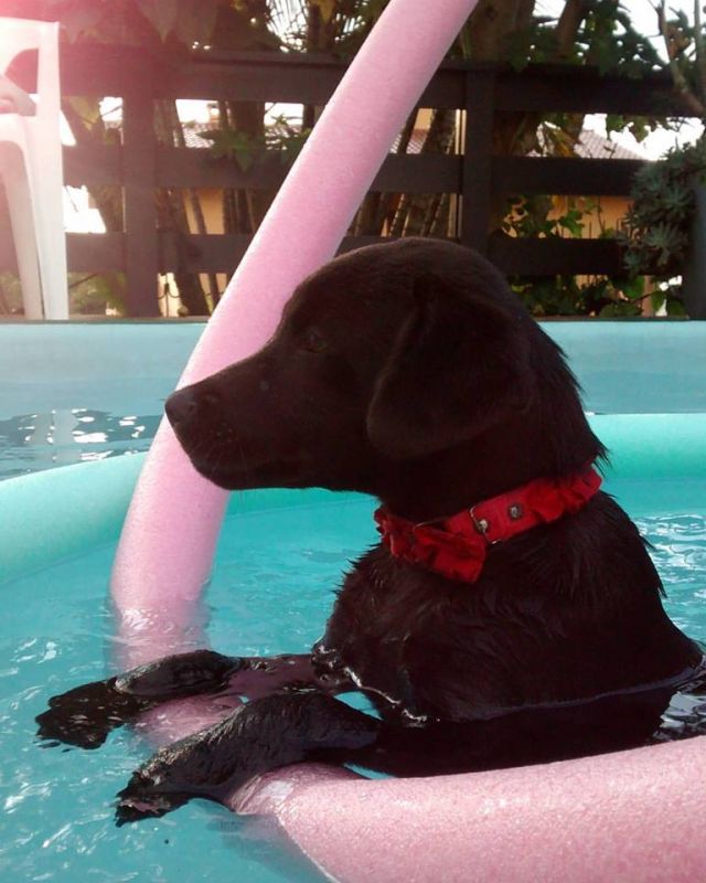 Lana playing in the pool (Photo: Facebook)