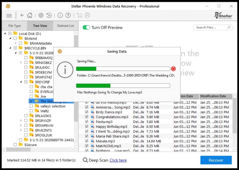 Stellar Phoenix Windows Data Recovery 7 Professional 