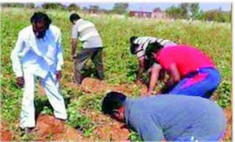 KCR working at his farm house.