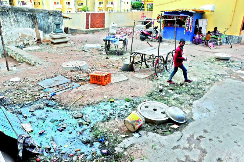 A dairy farm being run from a residential locality in Phoolbagh Basherbagh poses health hazard. (Photo: P. SurendrA)