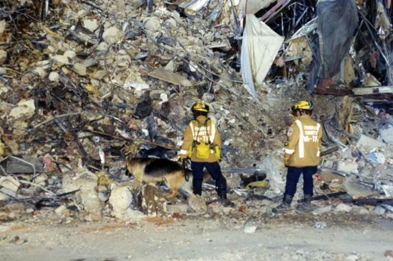 Rescue workers with sniffer dogs make their way through the rubble as they look for survivors. (Photo: FBI)