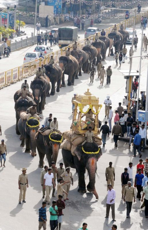Dasara jumbos prepare to march on the procession route from Mysore Palace to Bannimantap. (Photo: mysoredasara.gov.in)