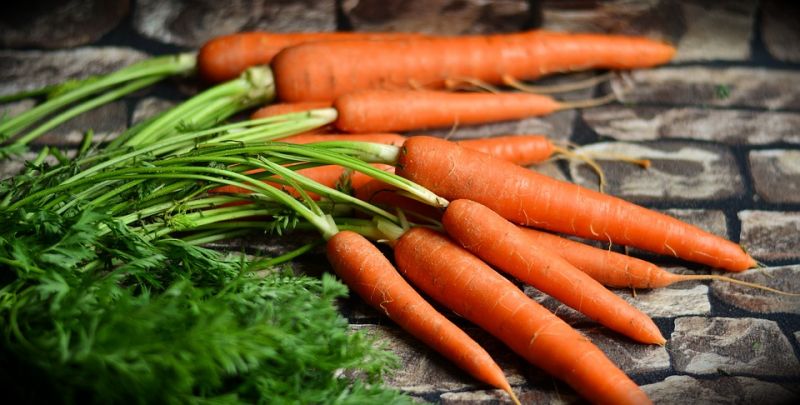Carrots help in boosting eyesight