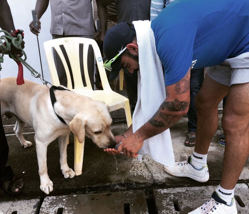 The 28-year-old once again showcased his love for animals in Chennai as he was seen taking some time out of the practice drills to give water to couple of security dogs at the MA Chidambaram Stadium on Thursday. (Photo: BCCI Twitter)