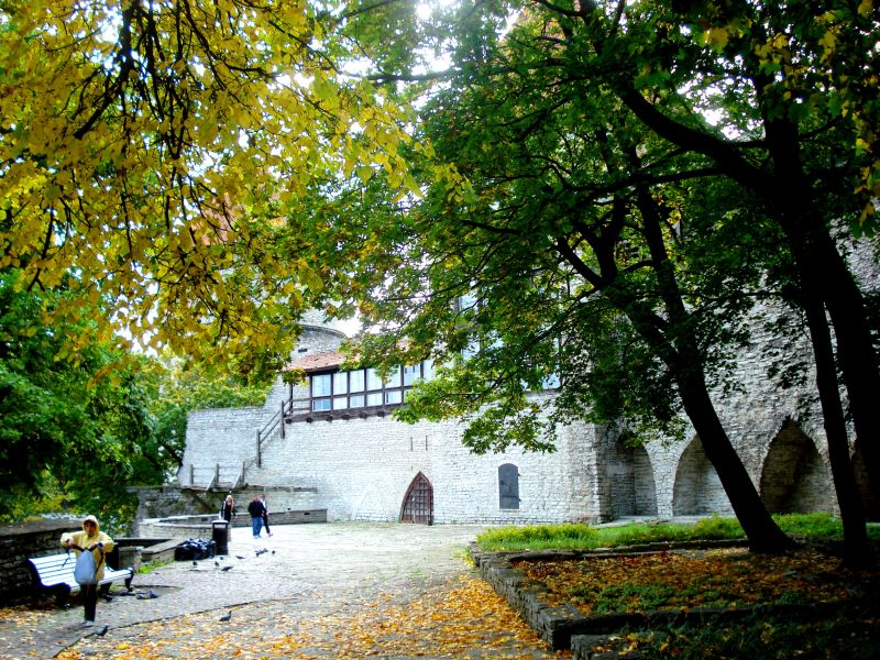 Framed by leaves of gold, the old fort of the city of Vana Tallinn, Estonia (Photo: Jayesh Ganesh)