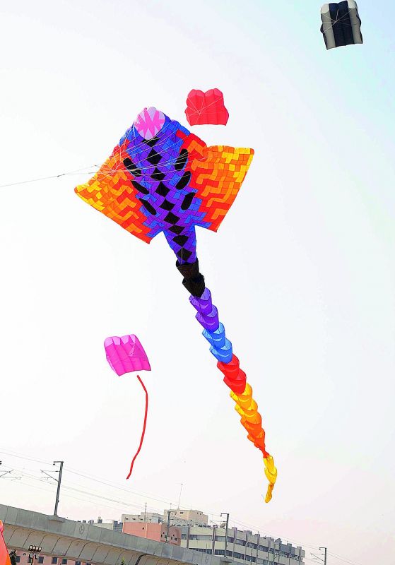  various colourful kites took flight