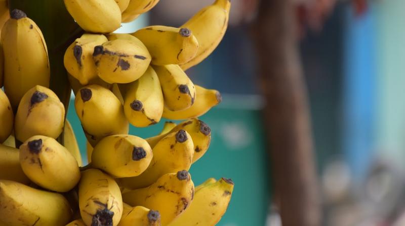 â€˜Operation Bananaâ€™: Rajasthan police force-feed thief to recover snatched chain