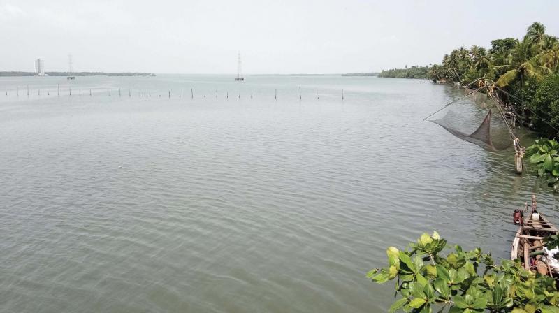 Kochi: Chemical waste hits fish wealth