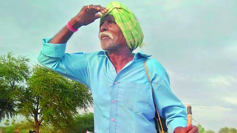 Karimnagar: Late monsoon delays kharif sowing, farmers worried