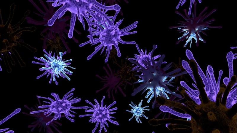 New study discovers way to slow down flu virus. (Photo: Pixabay)