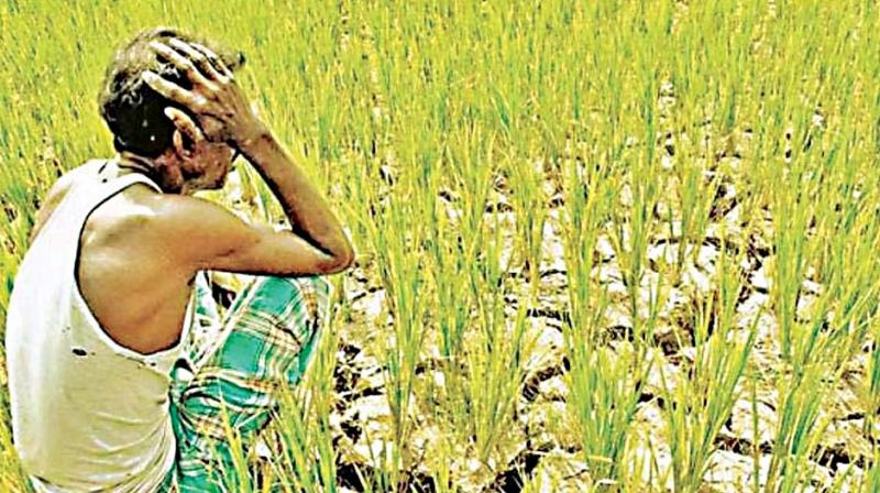 Karnataka has seen enough farmer suicides in the past few years and there are no signs of this disturbing trend abating.