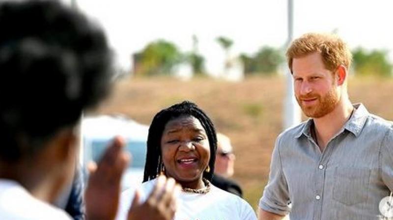 Prince Harry formally meets Malawiâ€™s president