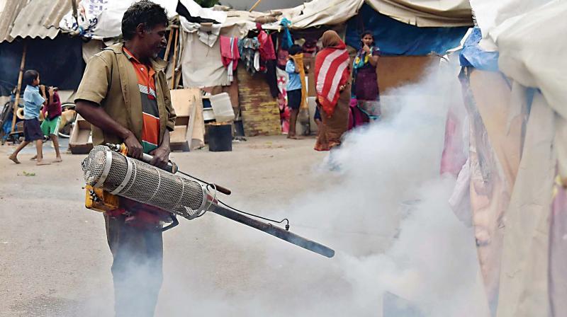 Bengaluru: Dengue returns to â€˜biteâ€™ city residents