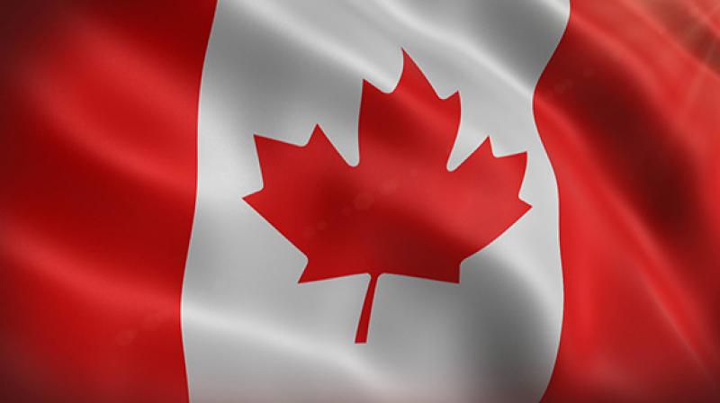 Canada names new China envoy amid damaged relations