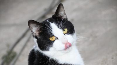 Representational Image. (Photo: Pixabay)