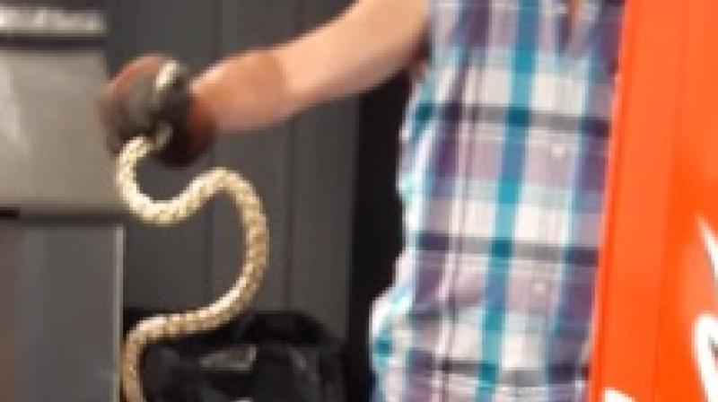 Man in US pulls out snake from vending machine. (Photo: Youtube)