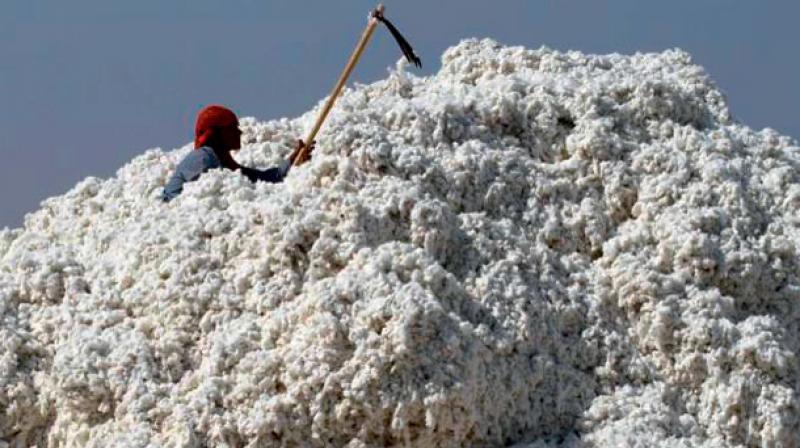 India has signed contracts to export 200,000 bales of cotton to China in the past one week.