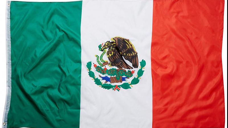 Unknown gunmen enter Mexican party, kill 13