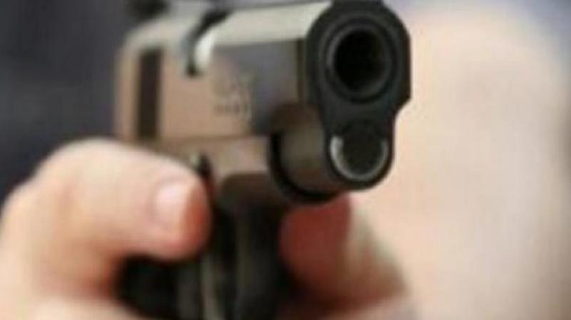 Khalsa broke loose, grabbed her own, registered gun from under her pillow and shot them dead. (Photo: Representational Image)