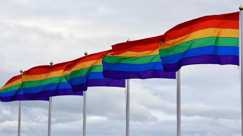 The flag was used since 1978, but only in 1994 did it become a symbol for LGBTQ pride.  (Photo: Pixabay)