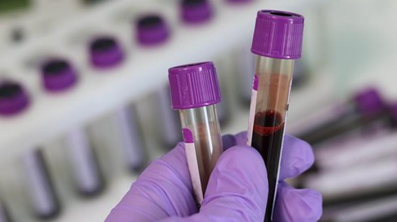 Blood samples from zoo to improve computer-assisted disease prognosis