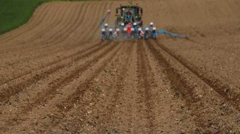 Global warming adversely affects soil quality