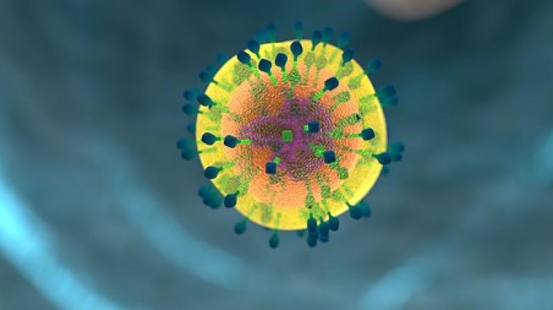 Cell-to-cell contact responsible for spread of HIV virus