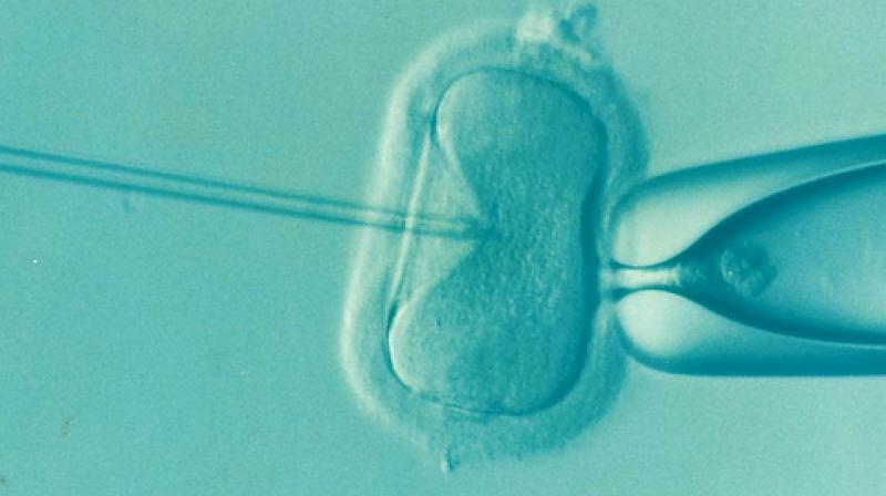 Next generation genomic test doubles up success rate of IVF
