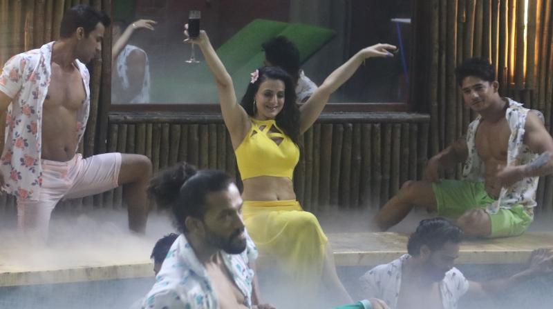 800px x 448px - Bigg Boss 13: Netizens want Ameesha Patel to be out of the show; read tweets