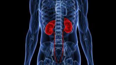 There is a significant association between sleep quality and kidney failure risk. (Representational Image)