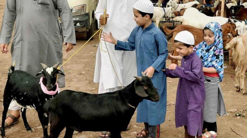 Muslims slaughter a sacrificial animal  perhaps a sheep or goat  as a symbol of Abrahams willingness to sacrifice Ishmael. (Photo: PTI)