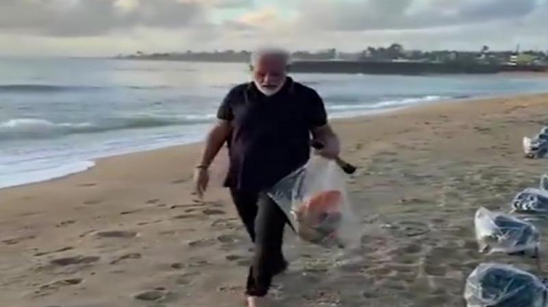 Watch: PM Modi goes plogging in TN to spread message of cleanliness