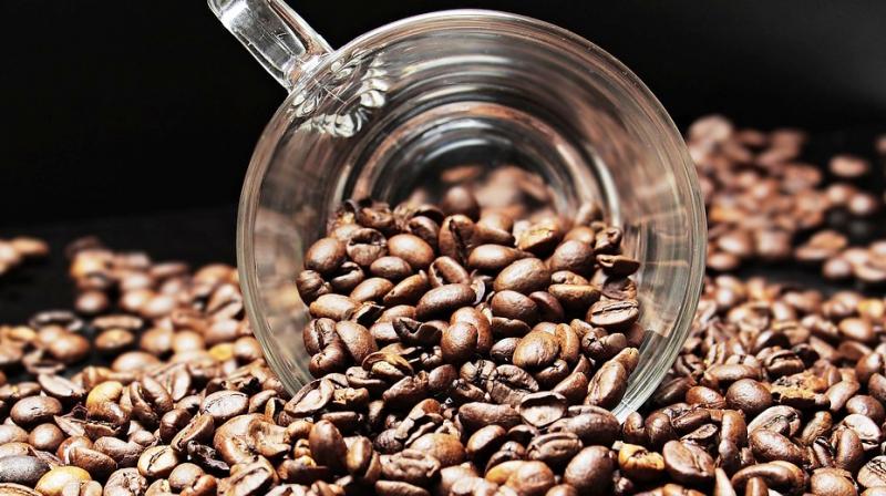 Coffee prices hit 13-year low