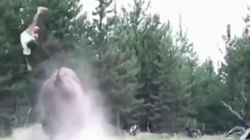 Watch video: Bison tosses 9-year-old girl into the air at Yellowstone National Park