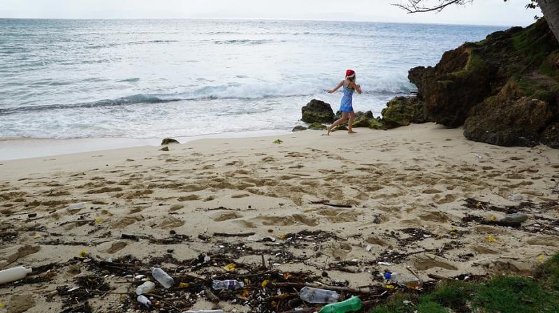 Americaâ€™s beaches are dirtier than ever before