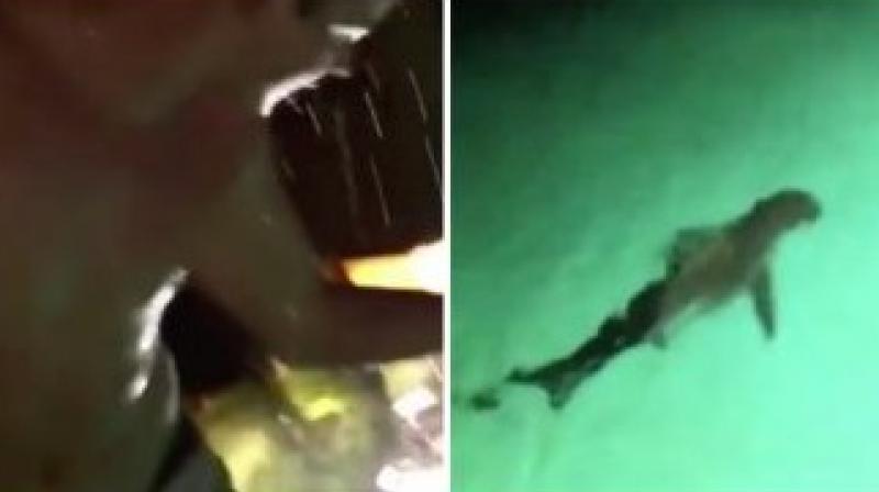 Captured footage shows a tipsy student suddenly jumping into the shark-infested pool at the Atlantic Resort & Casino in Nassau while his friends video record his antics. (Credit: Instagram)