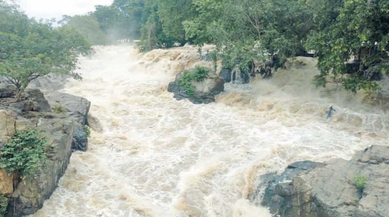 Overflowing Cauvery cuts off road link in Krishnagiri