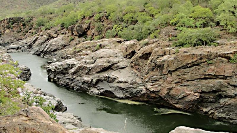 Mekedatu where the state is planning a balancing reservoir-cum-drinking water project across the river Cauvery