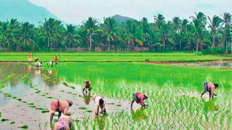 Farmers of Lanka (island) and assigned land owners are planning a series of protests seeking fair compensation and cancellation of GO 41.