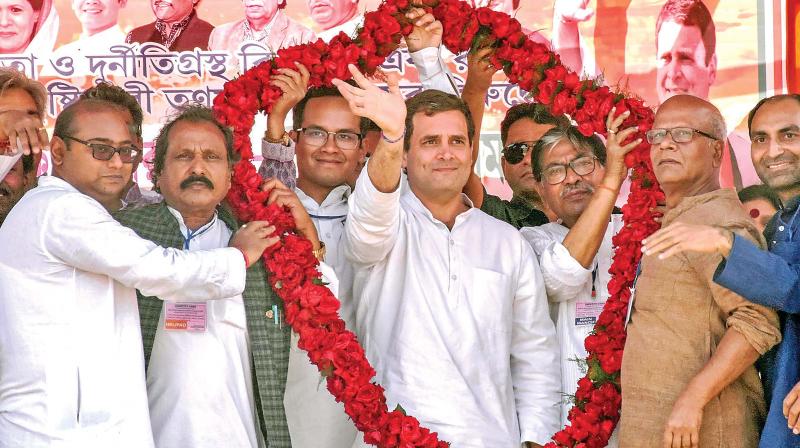 Lok Sabha elections: Rahul Gandhi may pick Wayanad too