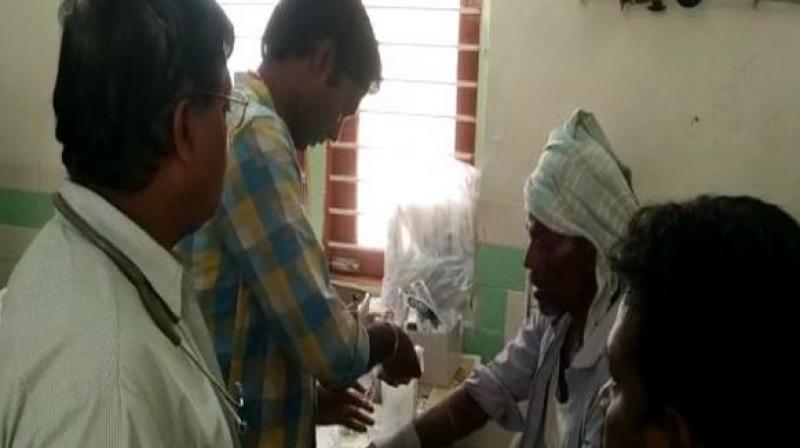 Andhra Pradesh: 15 hospitalised for snake bite in Krishna