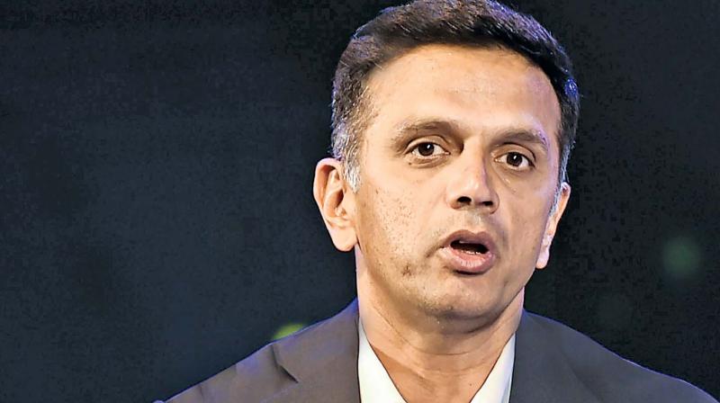 \Rahul Dravid has no conflict of interest case\: Committee of Administrators