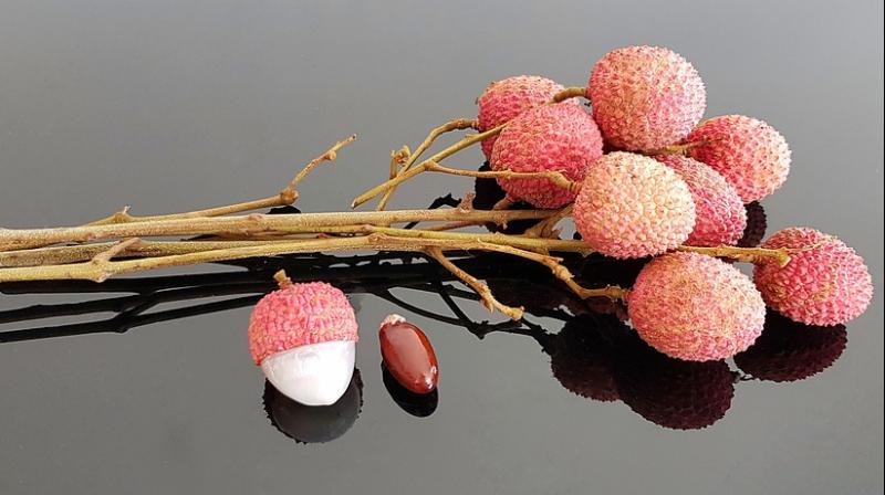 Sweet lychee can prove deadly