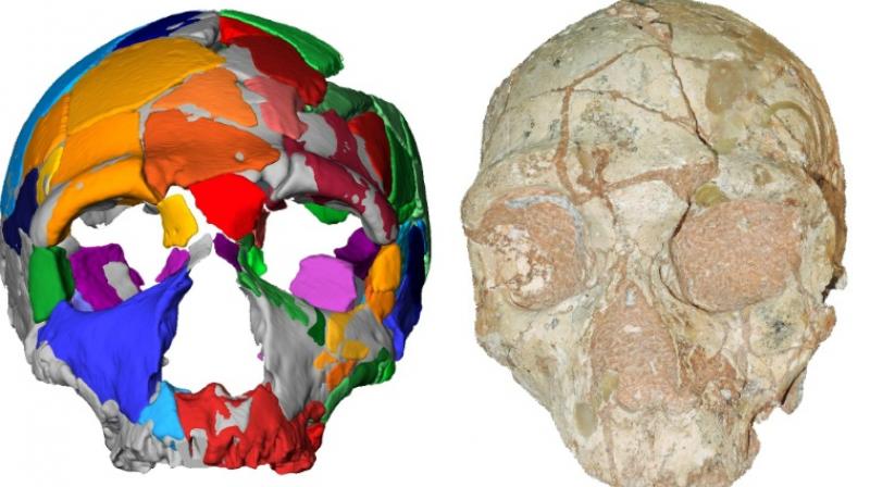 210,000 year old skull identifies as the earliest modern human remains
