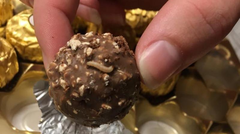 Video: Shocking moment woman finds squirming maggots in chocolates